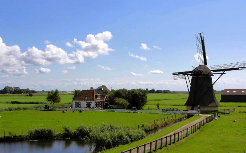 landschap